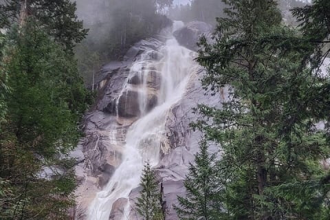 Cover image for the Vancouver, Squamish & Shannon fall Day Private Tour experience