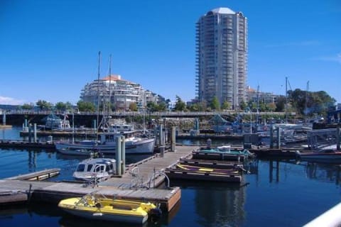 Cover image for the Vancouver to Nanaimo Harbour City Day Tour experience