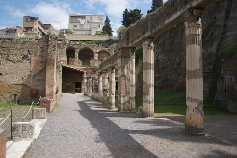 Cover image for the HERCULANEUM tour from Naples experience