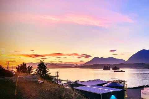 Cover image for the Vancouver to Tofino 2 Day Tour Private experience