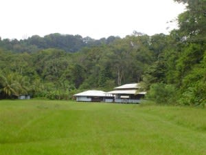 Cover image for the Corcovado-overnight-Tour at sirena ranger station. experience