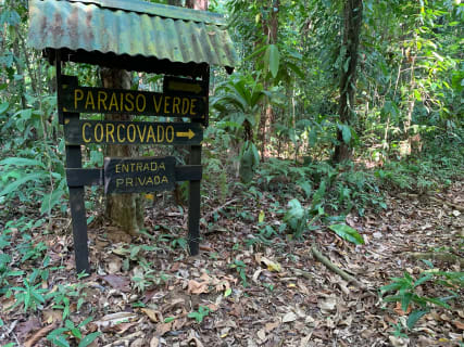 Cover image for the Paraiso verde Corcovado experience