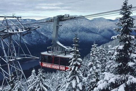 Cover image for the Vancouver Perfect Day Tour Grouse Mountain`& Capilano Suspention Bridge Private experience