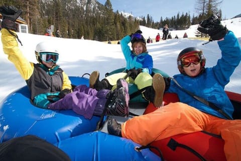 Cover image for the Whistler winter adventure tour experience