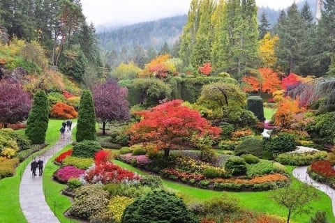 Cover image for the Vancouver, Victoria, Comox, Duncan,Nanaimo 2 day Explorer tour experience