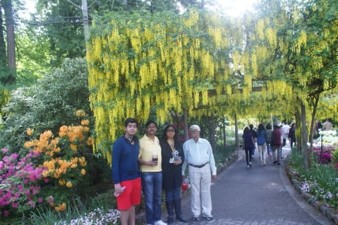 Cover image for the Vancouver,Victoria,Whistler Best Price Guranteed 4 Days Tour Private experience