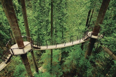 Cover image for the Best of Vancouver Highlights /Suspension Bridge/ Free Pizza Party Tour Private experience