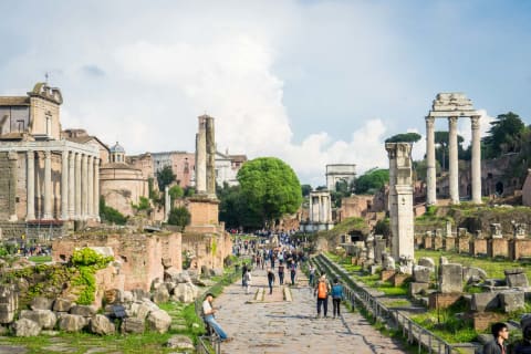 Cover image for the Roman Forum, Palatine Hill, Colosseum Panoramic Views Private Tour experience