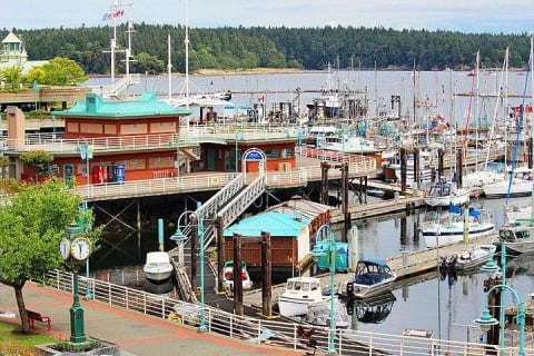 Cover image for the Vancouver to Nanaimo, Ucluelet, Tofino 2 Days Harbour City Tour Private experience