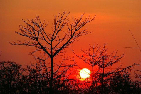 Cover image for the 3-Days Chitwan National Park Tour from Kathmandu by private vehicle experience