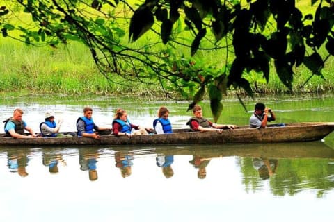 Cover image for the 3-Day Chitwan Jungle Safari Tour from Kathmandu experience