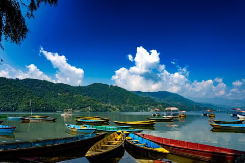 Cover image for the 5 Days adventurous Chitwan and pleasing Pokhara Tour from Kathmandu experience