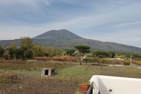 Cover image for the Mount Vesuvius Half Day Private Tour experience