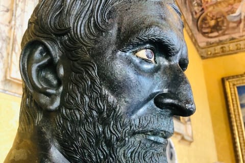 Cover image for the Rome Capitoline Museums Private Guided Tour and Panoramic Views experience