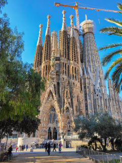 Cover image for the Sagrada Familia guided tour with Skip the line ticket experience