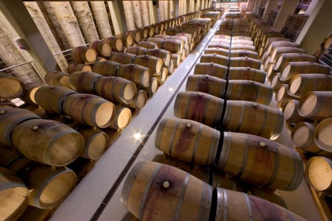 Cover image for the WINE TASTING LUXURY & PORTICI PALACE experience