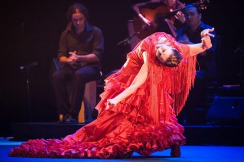 Cover image for the TAPAS + FLAMENCO experience