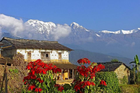 Cover image for the Dhampus Trek from Pokhara experience