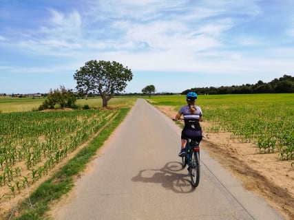 Cover image for the E-Bike Tour Medieval Villages + winery visit experience