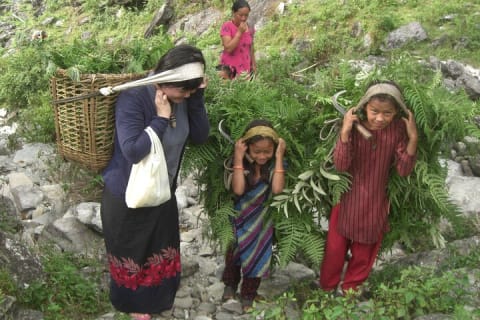 Cover image for the Embrace Village Life: Homestay with a Local Family in Kumpur experience