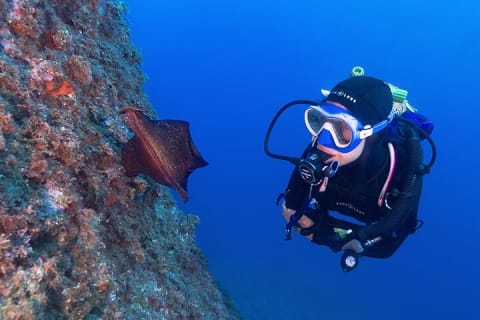 Cover image for the Small-group Discover Scuba Diving Adventure experience