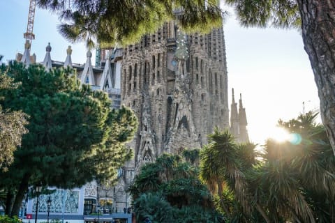 Cover image for the Best of Barcelona: Sagrada Familia, Park Guell, Montjuic & Gothic experience