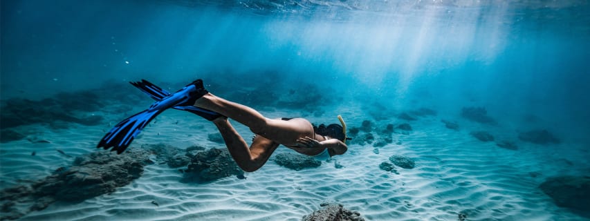 Cover image for the Snorkeling trips at Costa Brava experience