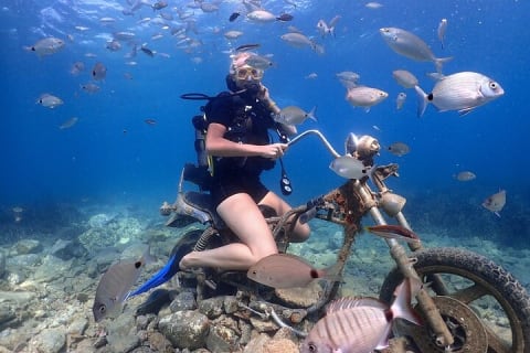 Cover image for the Scuba Diving Tour From Kusadasi / Selcuk experience