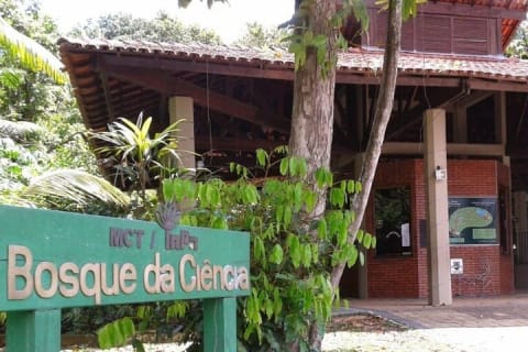 Cover image for the Private Excursão no Bosque da ciência fauna e flora + Ponte Rio negro experience