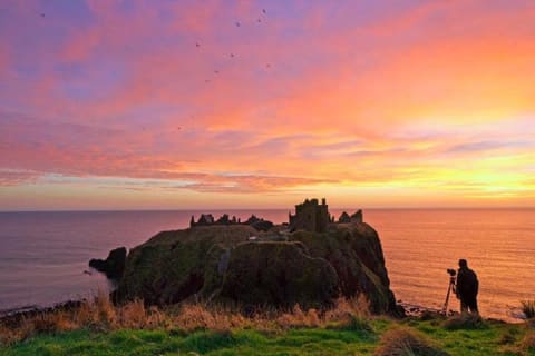 Cover image for the Aberdeenshire Private Half Day Castle & Historic Building Tour experience