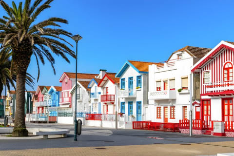 Cover image for the Private Adventure Multi-City Transfer from Porto to Lisbon experience