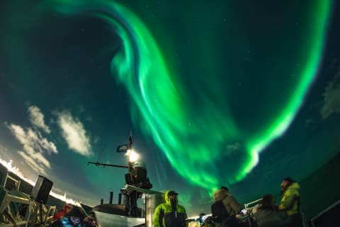 Cover image for the Northern Lights by Boat experience