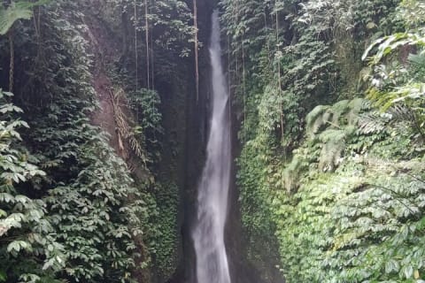 Cover image for the Private Tour from Leke-Leke Waterfall to Jatiluwih Rice Terrace experience