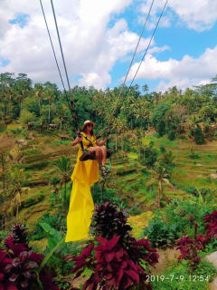 Cover image for the Bali: Best of Jungle Swing with Ubud Sightseeing Tour experience