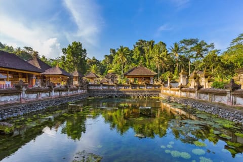 Cover image for the Discover the Beauty of Kintamani Highlands experience
