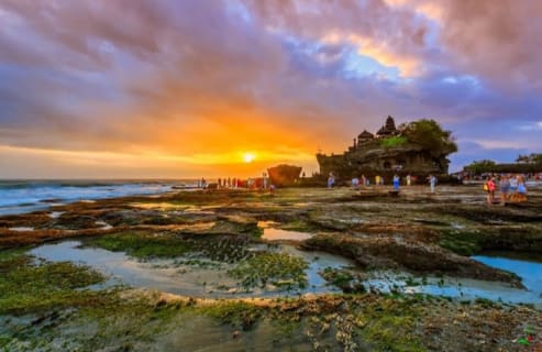 Cover image for the Sacred Beauty Tanah Lot Temple and Sunset Tour experience