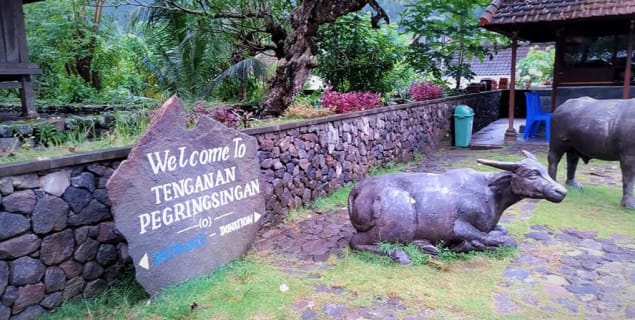 Cover image for the Tenganan Village Traditions and Cultural Heritage experience