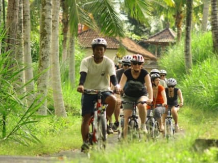 Cover image for the Bali Trip: Countryside Cycling Tour experience