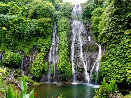 Cover image for the Banyumala Waterfall Trek, Bedugul and Lake Beratan Tour experience