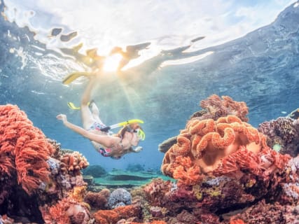 Cover image for the Bali: Padangbai Blue Lagoon Snorkeling Day Trip experience