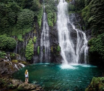 Cover image for the North Bali Trip Experience experience