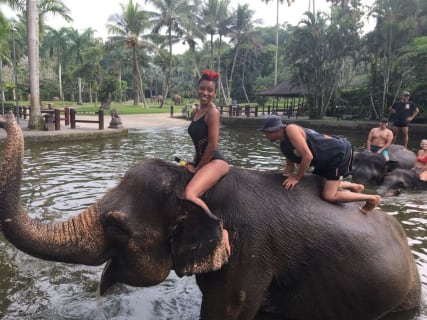 Cover image for the Bali Elephant Bath & Breakfast: An Unforgettable Day with Majestic Giants experience