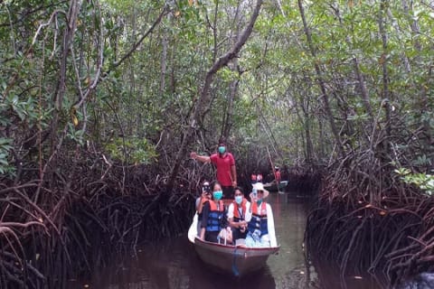 Cover image for the Nusa Lembongan Aquatic Adventure: Snorkeling Spectacular experience