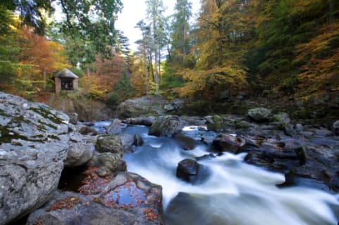Cover image for the Scottish Glens, Highlands & Whisky from Edinburgh experience