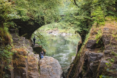 Cover image for the Scottish Glens, Highlands & Whisky with Distillery Tour from Edinburgh (Edinburgh Departure) experience