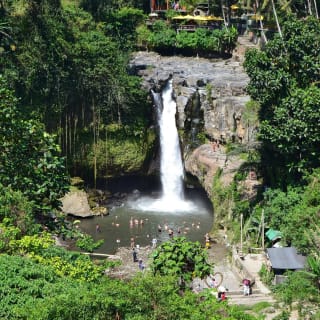 Cover image for the 3 Days 2 Nights Nature Trips experience