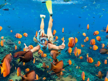 Cover image for the 4 Days 3 Nights Ubud & Nusa Penida Special Trips experience