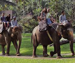 Cover image for the 6 Days 5 Nights Safari Special Trips experience