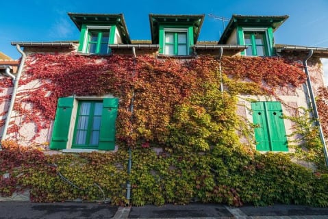 Cover image for the Normandy Giverny Rouen Honfleur Private Trip from Paris experience