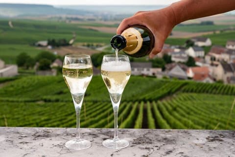 Cover image for the Epernay and Reims Champagne Private Day Trip from Paris experience